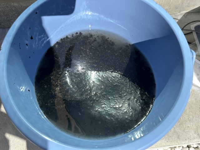 “排水は真っ黒”
