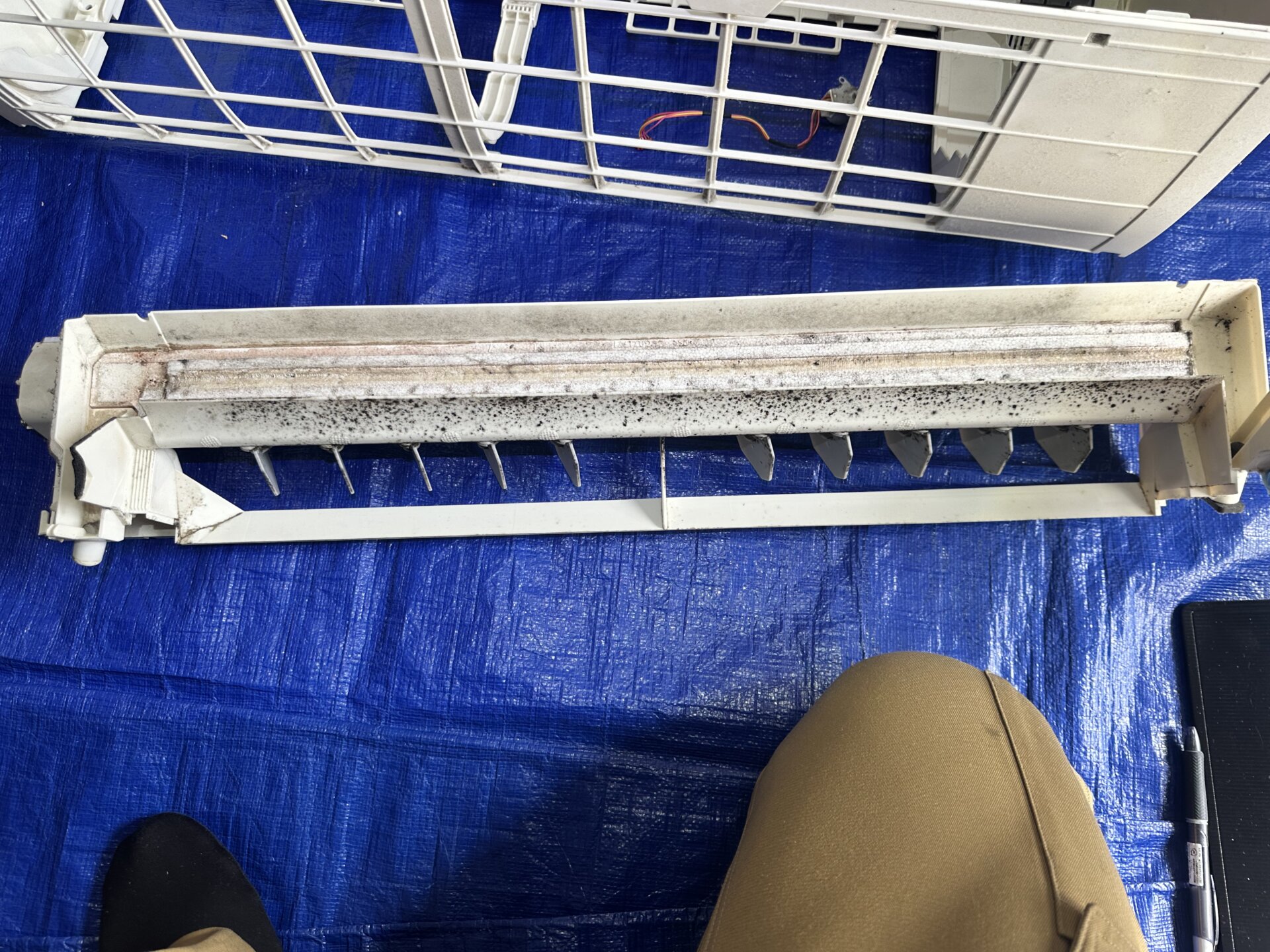 清掃前の汚れたドレンパン