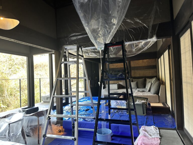 全体の養生している様子